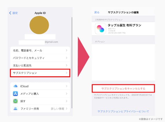 タップル_サブスクリプション